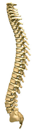 FAQ | The Spine | Chiropractor Services in Atlanta, GA